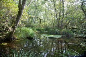 Maisons de vacances La Cabanote : photos des chambres