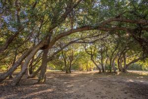 New Camping Coccorrocci img79