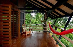 Tiskita Jungle Lodge