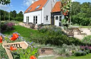 DE DUINDISTEL Bed by the Sea - Dishoek