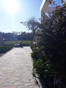 Villa Elli Potamos Corfu