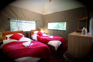 MALI Boutique Lodge & Tube n Axe Budget Accommodation
