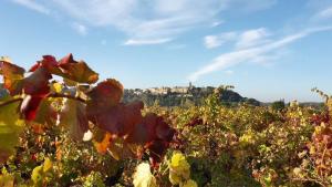 B&B / Chambres d'hotes La Bastide des Pins : photos des chambres