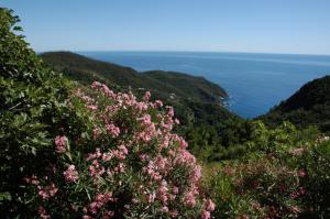 Maison de Charme Giulietta