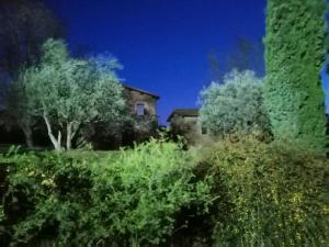 Podere Campovecchio