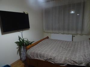 Apartament w centrum, garaż i jakuzzi w cenie