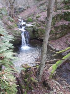 Charmanter Fachwerktraum an der Stadtmauer