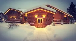 Chalet Alpina Hotel & Apartments - 拉特乌伊莱