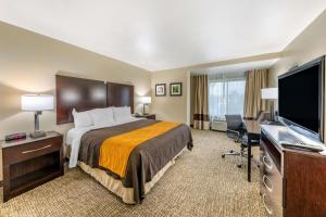 Standard King Room - Non-Smoking  room in Comfort Inn and Suites Colton/San Bernardino