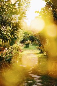 The Artist's Farm Achaia Greece