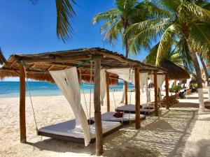 Caribbean apartment - Appartamenti, Cancún
