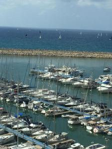 Business Class Marina Herzliya