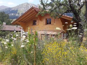 Ferienhaus Le Machaon Chateau-d'Oex Schweiz