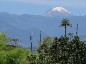 Finca El Topacio Circasia-Quindio
