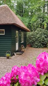 Vakantiehuis t Musje