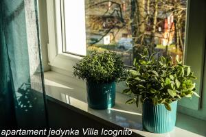 Apartament Jedynka Villa Incognito