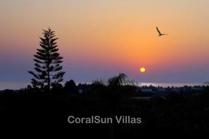 MAGIC CORAL VILLA 304 by Coral Sun Villa com