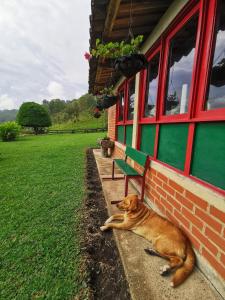 Finca La Playa Ecohotel - Experiencia Campestre -