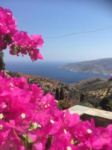 AEGEAN VIEW Andros Greece