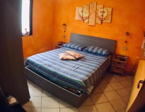 Olivastro di Tanaunella