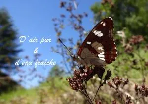 Gîte rural La Bergerie du Sant - Escoussens