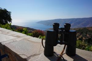 AEGEAN VIEW Andros Greece