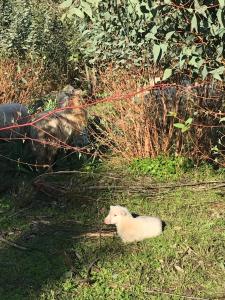 Agriturismo Is Conchisceddas img86