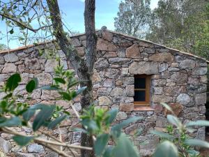 Maisons d'hotes ALZITEDDA : photos des chambres