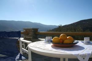 Villa Gabriela Andros Greece