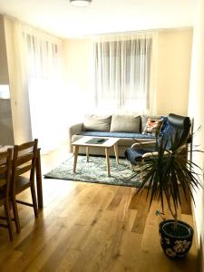 Apartman Zlatibor spa