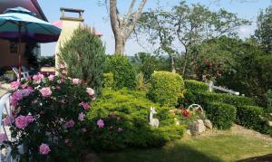 B&B / Chambres d'hotes O'jardin : photos des chambres