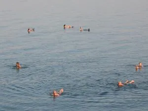 NEVE ZOHAR DEAD SEA - Sāfī