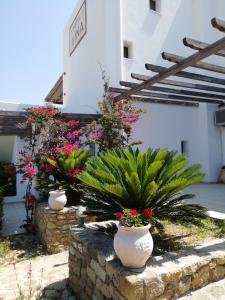 Vina Beach Hotel Skyros Greece