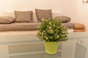 Raday Prime Exclusive Budapest