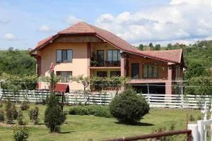 Casa de vacanta Madalina - Cernădia