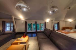 B&B / Chambres d'hotes L'HOTEL PARTICULIER - LE MANS : photos des chambres