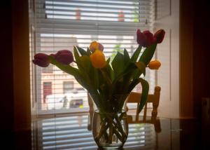 Church Lane Accommodation, Town Centre Warrenpoint