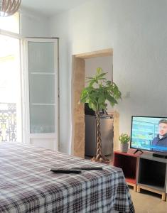 Appartements le balcon de Saint Roch : photos des chambres