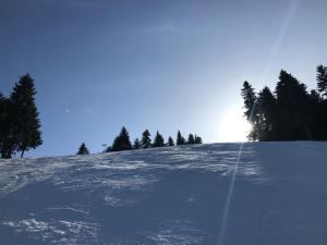 Studio in Hotel Flora Borovets
