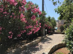 Appartements Residence Motel Corsicana : photos des chambres