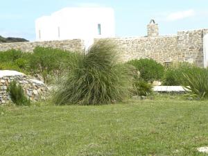 Villa Petradi (150 meters from the sea) Paros Greece