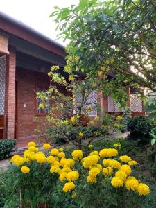 Sam Ong Lang Homestay