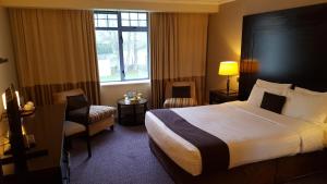 Single Room room in Shamrock Lodge Hotel