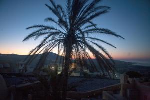 The Palm Tree Residence Santorini Greece