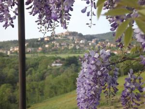 Suite room in Agriturismo Gattogiallo