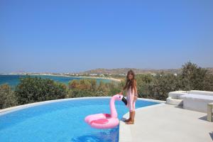 Villa Paradise in Naxos Naxos Greece