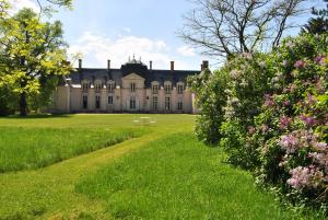 B&B / Chambres d'hotes Chateau La Touanne Loire valley : photos des chambres
