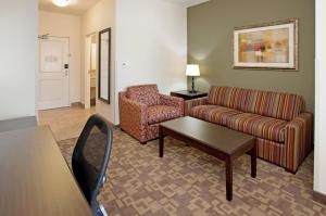 Executive King Suite - Non-Smoking room in Holiday Inn Express Topeka North an IHG Hotel