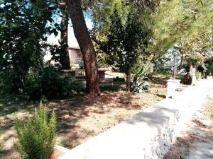 Masseria Chianca - Le rose