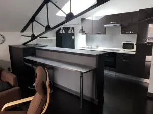 APPARTEMENT LOFT CROIX LILLE - 瓦斯凯勒
